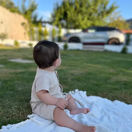 Aden Garden Willa